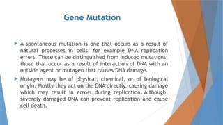 2. Mutations and genomic Variations.pptx