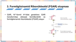 2.HAFTA-PÜRİN NÜKLEOTİDLERİN METABOLİZMASI.pptx
