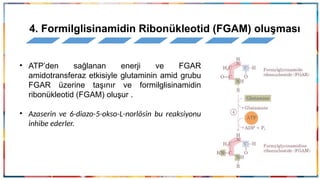 2.HAFTA-PÜRİN NÜKLEOTİDLERİN METABOLİZMASI.pptx