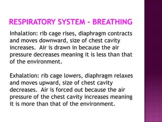 Organ Systems WITH DIFFERENT PARTSOFBODY | PPTX