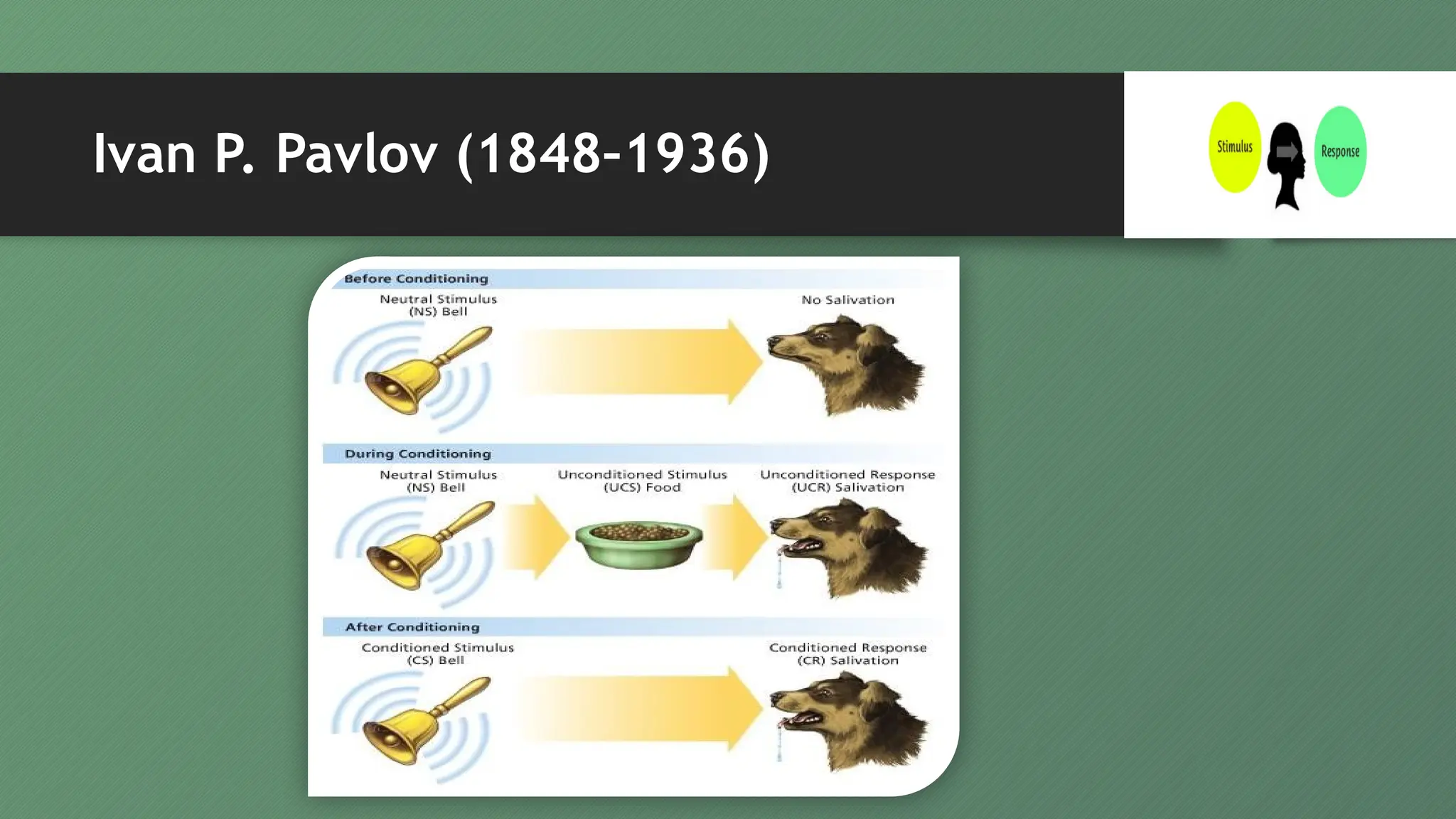 Ivan P. Pavlov (1848–1936 Teori Penghubungan Thorndike Behaviorisme ...