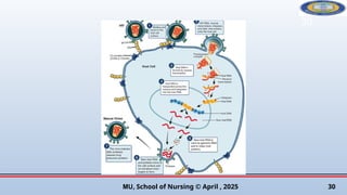 2. Virology, Life Cycle, and Pathogenesis of HIV.pptx