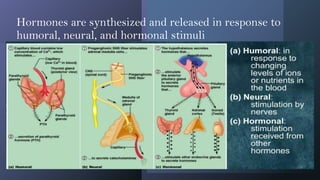 Humoral Control Structure , Synthesis, Metabolism, and Transportation of Bioregulators2 ...