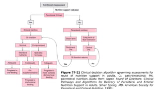 Nutrition Support Algorithm Nutritional Therapy Nutritional Therapyy | PDF