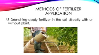 2.3 procedures for fertilization, planting seedlingspptx | PPTX