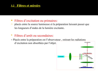 3.2 Filtres et miroirs
 Filtres d’excitation ou primaires:
- placés entre la source lumineuse et la préparation laissant passer que
les longueurs d’ondes de la lumière excitante.
 Filtres d’arrêt ou secondaires:
- Placés entre la préparation est l’observateur , retirant les radiations
d’excitation non absorbées par l’objet.
 