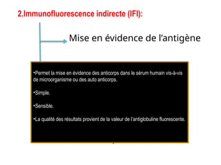 Mise en évidence de l’antigène
Mise en évidence de
l’anticorps dans les tissus
2.Immunofluorescence indirecte (IFI):
Mise en évidence de
l’anticorps dans le sérum
•Permet la mise en évidence des anticorps dans le sérum humain vis-à-vis
de microorganisme ou des auto anticorps.
•Simple.
•Sensible.
•La qualité des résultats provient de la valeur de l’antiglobuline fluorescente.
 