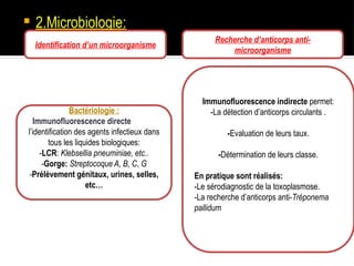  2.Microbiologie:
Identification d’un microorganisme
Recherche d’anticorps anti-
microorganisme
Bactériologie :
Immunofluorescence directe permet
l’identification des agents infectieux dans
tous les liquides biologiques:
-LCR: Klebsellia pneuminiae, etc..
-Gorge: Streptocoque A, B, C, G
-Prélèvement génitaux, urines, selles,
etc…
Immunofluorescence indirecte permet:
-La détection d’anticorps circulants .
-Evaluation de leurs taux.
-Détermination de leurs classe.
En pratique sont réalisés:
-Le sérodiagnostic de la toxoplasmose.
-La recherche d’anticorps anti-Tréponema
pallidum
 