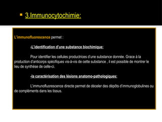  3.Immunocytochimie:
L’immunofluorescence permet :
-L’identification d’une substance biochimique:
Pour identifier les cellules productrices d’une substance donnée. Grace à la
production d’anticorps spécifiques vis-à-vis de cette substance , il est possible de montrer le
lieu de synthèse de celle-ci.
-la caractérisation des lésions anatomo-pathologiques:
L’immunofluorescence directe permet de déceler des dépôts d’immunoglobulines ou
de compléments dans les tissus.
 