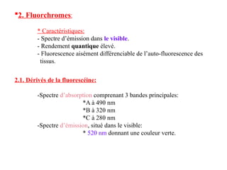 2. Fluorchromes:
* Caractéristiques:
- Spectre d’émission dans le visible.
- Rendement quantique élevé.
- Fluorescence aisément différenciable de l’auto-fluorescence des
tissus.
2.1. Dérivés de la fluorescéine:
-Spectre d’absorption comprenant 3 bandes principales:
*A à 490 nm
*B à 320 nm
*C à 280 nm
-Spectre d’émission, situé dans le visible:
* 520 nm donnant une couleur verte.
 