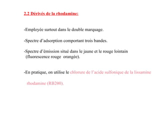 2.2 Dérivés de la rhodamine:
-Employée surtout dans le double marquage.
-Spectre d’adsorption comportant trois bandes.
-Spectre d’émission situé dans le jaune et le rouge lointain
(fluorescence rouge orangée).
-En pratique, on utilise le chlorure de l’acide sulfonique de la lissamine
rhodamine (RB200).
 