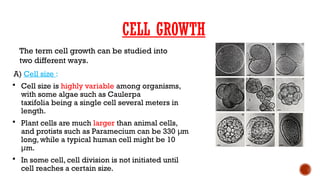 STRUCTURE AND FUNCTION OF CELL PART 2.pptx
