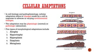 STRUCTURE AND FUNCTION OF CELL PART 2.pptx