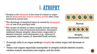 STRUCTURE AND FUNCTION OF CELL PART 2.pptx