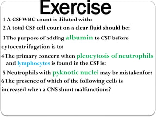 Csf Exercise 2.8 CSF ZY 2024.pptx000000000000000000000000000 | PPTX