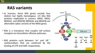 Sharing Ras 2. RAS and carcinogenesis.ppt............. | PPT