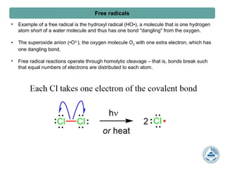 Dangle O2 Understanding the Formation, Reactions, and Biological Impact of Free ...