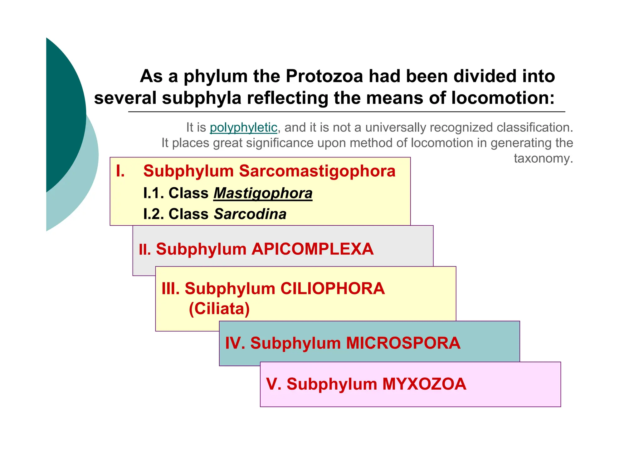 As a phylum the Protozoa had been divided into
several subphyla reflecting the means of locomotion:
I. Subphylum Sarcomastigophora
I.1. Class Mastigophora
I.2. Class Sarcodina
It is polyphyletic, and it is not a universally recognized classification.
It places great significance upon method of locomotion in generating the
taxonomy.
II. Subphylum APICOMPLEXA
III. Subphylum CILIOPHORA
(Ciliata)
IV. Subphylum MICROSPORA
V. Subphylum MYXOZOA
 