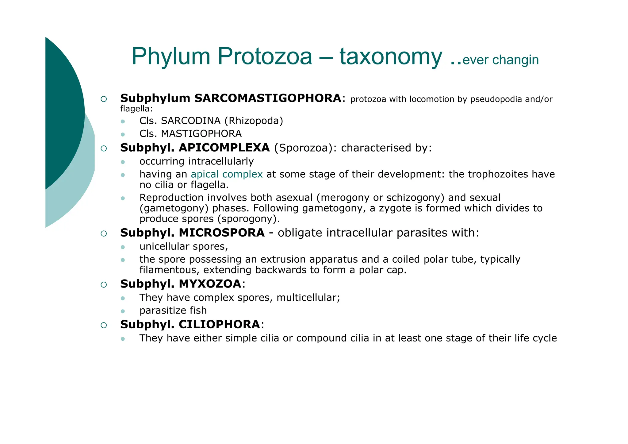 Phylum Protozoa – taxonomy ..ever changin
Subphylum SARCOMASTIGOPHORA: protozoa with locomotion by pseudopodia and/or
flagella:
Cls. SARCODINA (Rhizopoda)
Cls. MASTIGOPHORA
Subphyl. APICOMPLEXA (Sporozoa): characterised by:
occurring intracellularly
having an apical complex at some stage of their development: the trophozoites have
no cilia or flagella.
Reproduction involves both asexual (merogony or schizogony) and sexual
(gametogony) phases. Following gametogony, a zygote is formed which divides to
produce spores (sporogony).
Subphyl. MICROSPORA - obligate intracellular parasites with:
unicellular spores,
the spore possessing an extrusion apparatus and a coiled polar tube, typically
filamentous, extending backwards to form a polar cap.
Subphyl. MYXOZOA:
They have complex spores, multicellular;
parasitize fish
Subphyl. CILIOPHORA:
They have either simple cilia or compound cilia in at least one stage of their life cycle
 