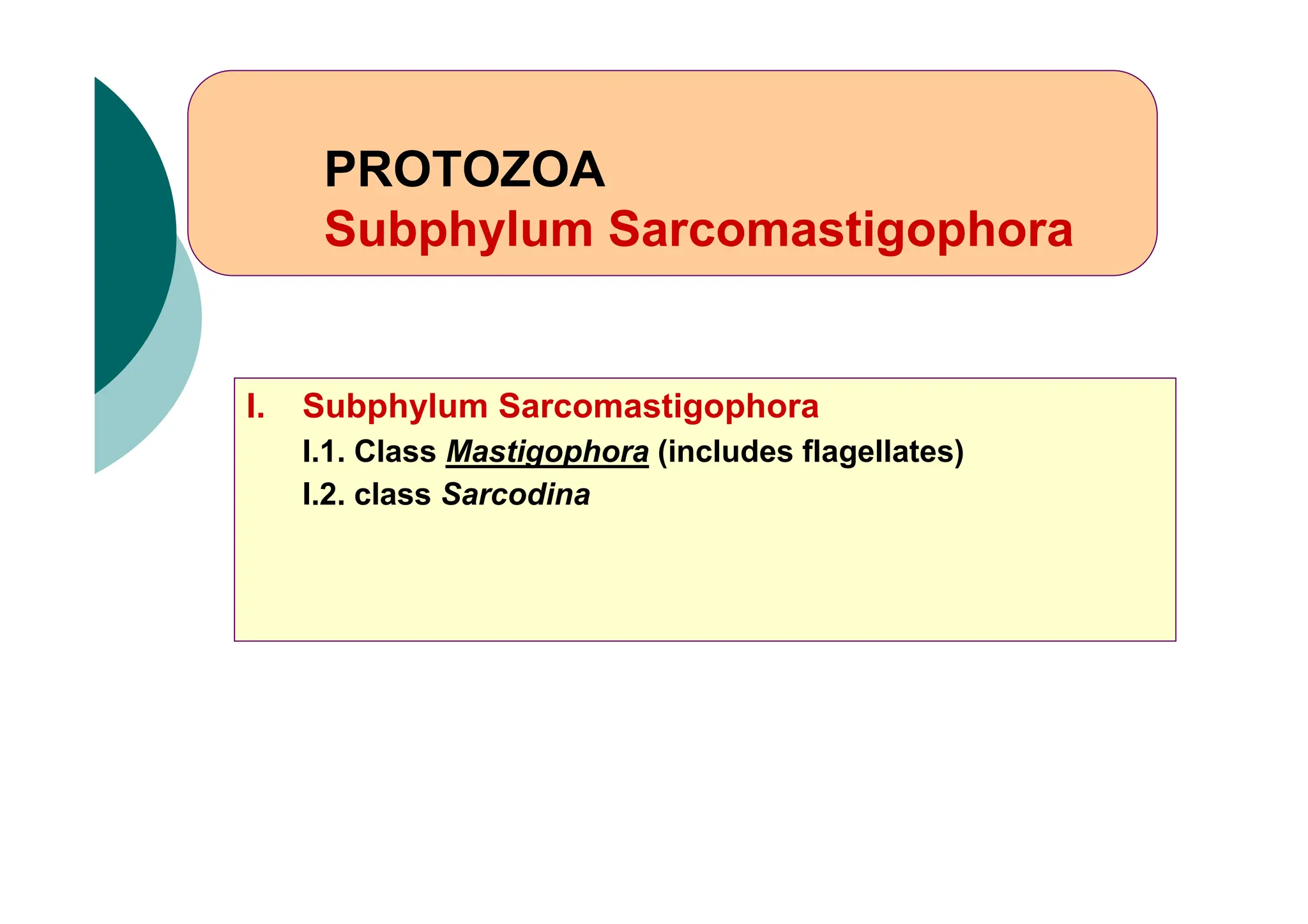 I. Subphylum Sarcomastigophora
I.1. Class Mastigophora (includes flagellates)
I.2. class Sarcodina
PROTOZOA
Subphylum Sarcomastigophora
 