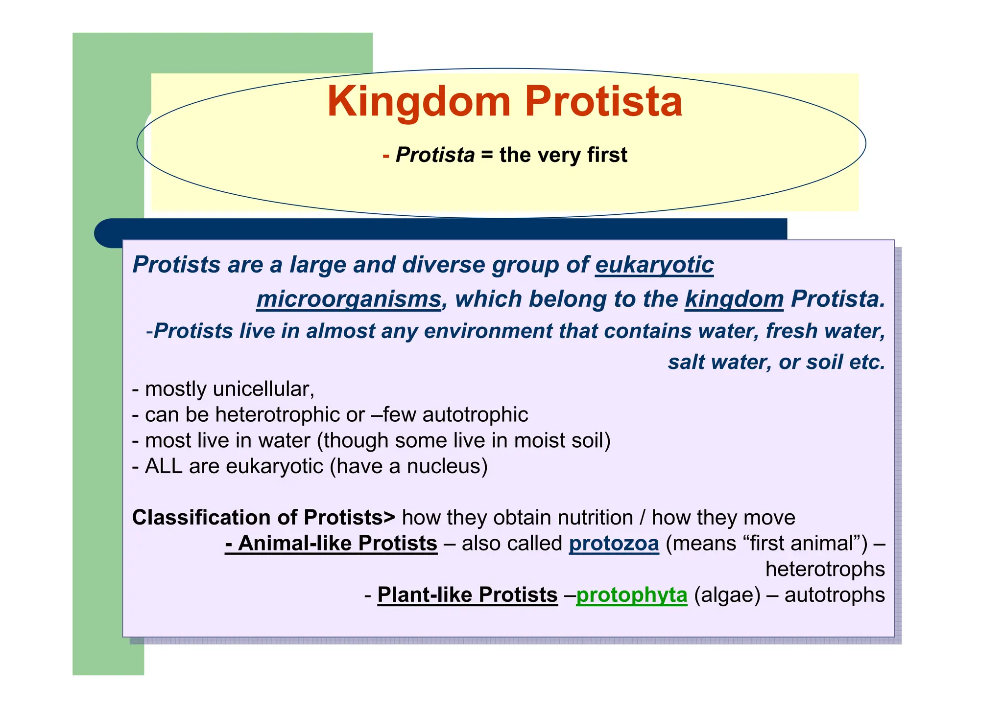 Kingdom Protista
- Protista = the very first
Protists are a large and diverse group of eukaryotic
microorganisms, which belong to the kingdom Protista.
-Protists live in almost any environment that contains water, fresh water,
salt water, or soil etc.
- mostly unicellular,
- can be heterotrophic or –few autotrophic
- most live in water (though some live in moist soil)
- ALL are eukaryotic (have a nucleus)
Classification of Protists> how they obtain nutrition / how they move
- Animal-like Protists – also called protozoa (means “first animal”) –
heterotrophs
- Plant-like Protists –protophyta (algae) – autotrophs
Protists are a large and diverse group of eukaryotic
microorganisms, which belong to the kingdom Protista.
-Protists live in almost any environment that contains water, fresh water,
salt water, or soil etc.
- mostly unicellular,
- can be heterotrophic or –few autotrophic
- most live in water (though some live in moist soil)
- ALL are eukaryotic (have a nucleus)
Classification of Protists> how they obtain nutrition / how they move
- Animal-like Protists – also called protozoa (means “first animal”) –
heterotrophs
- Plant-like Protists –protophyta (algae) – autotrophs
 