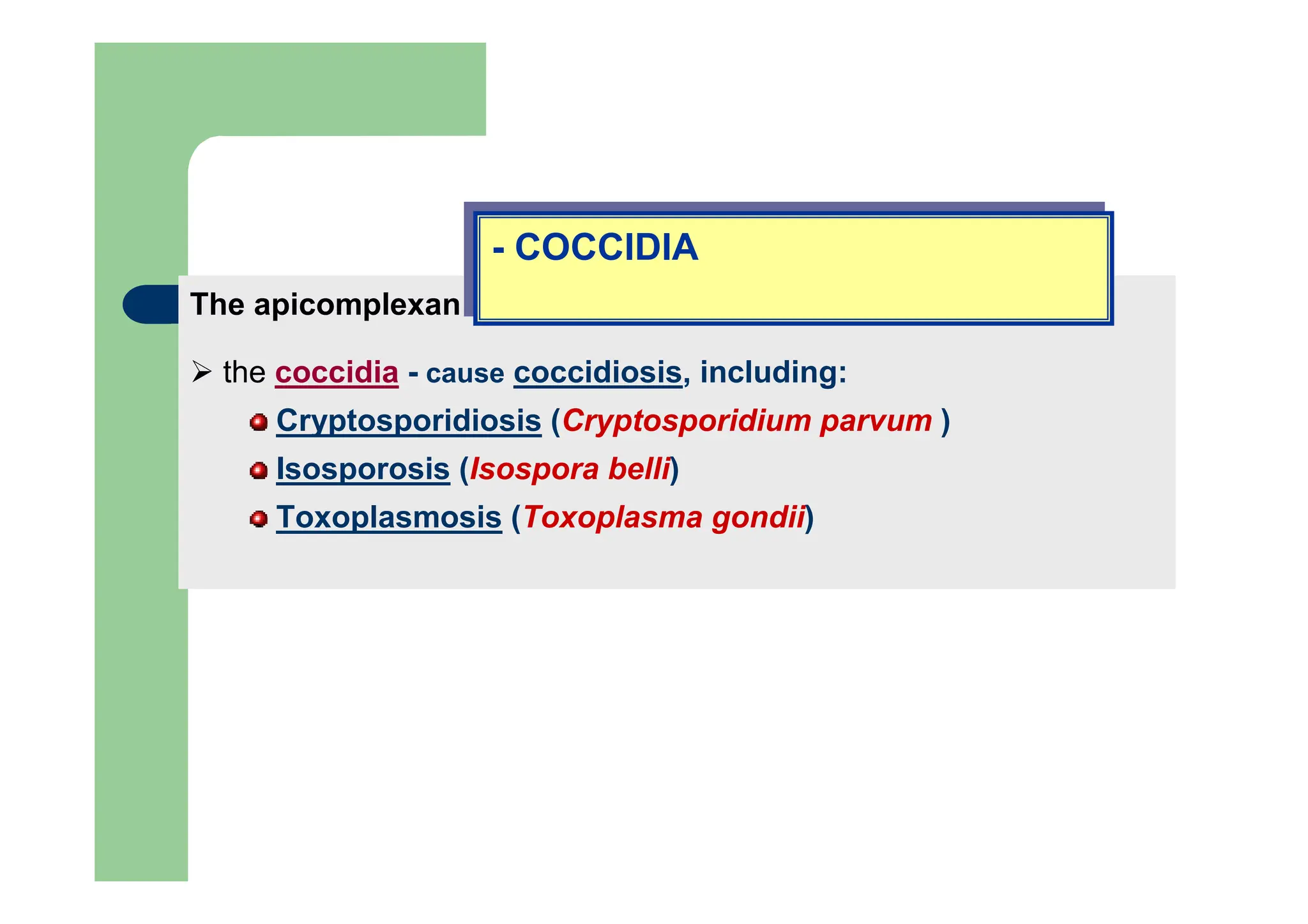 The apicomplexan organisms include:
the coccidia - cause coccidiosis, including:
Cryptosporidiosis (Cryptosporidium parvum )
Isosporosis (Isospora belli)
Toxoplasmosis (Toxoplasma gondii)
- COCCIDIA
- COCCIDIA
 