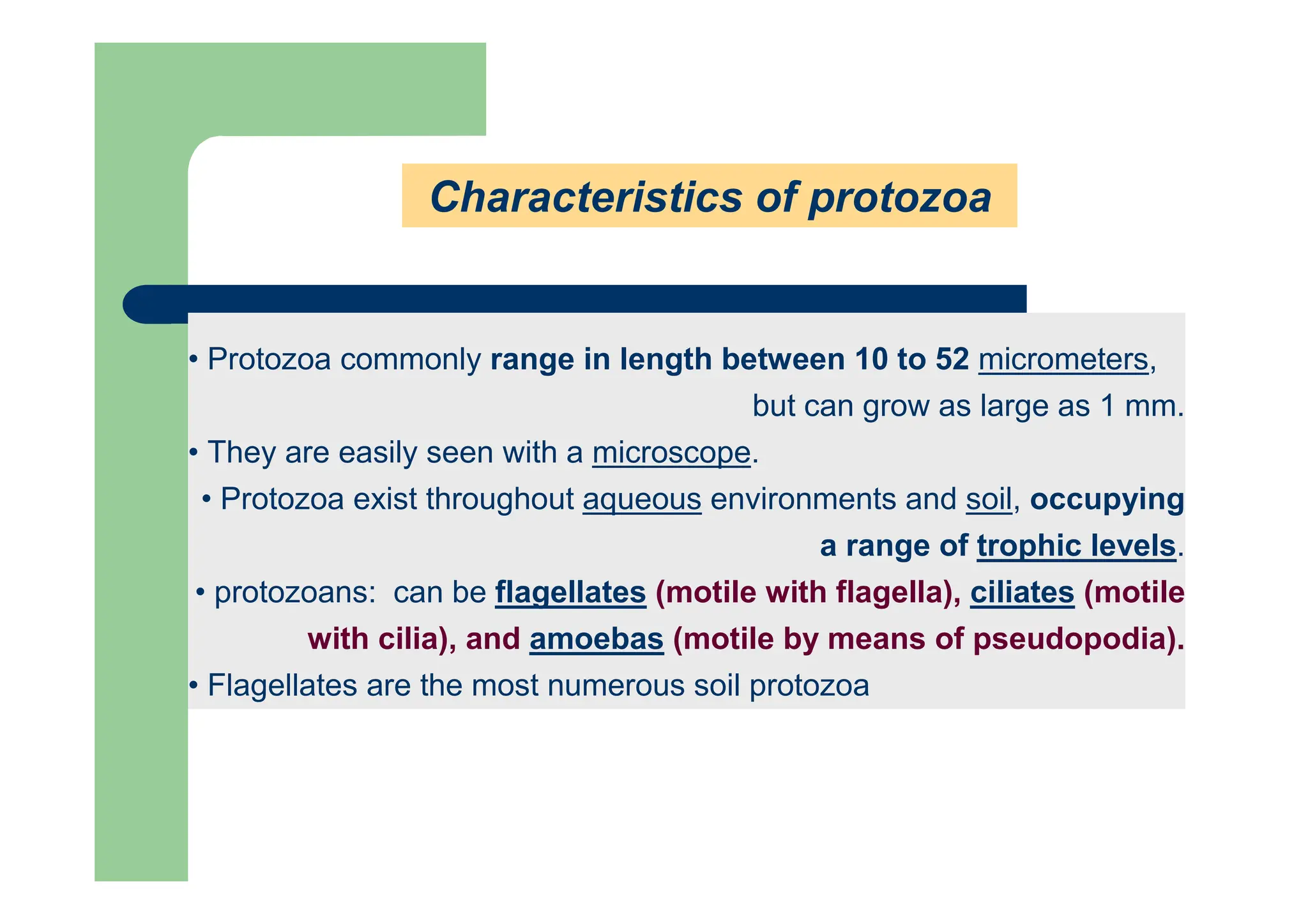 • Protozoa commonly range in length between 10 to 52 micrometers,
but can grow as large as 1 mm.
• They are easily seen with a microscope.
• Protozoa exist throughout aqueous environments and soil, occupying
a range of trophic levels.
• protozoans: can be flagellates (motile with flagella), ciliates (motile
with cilia), and amoebas (motile by means of pseudopodia).
• Flagellates are the most numerous soil protozoa
Characteristics of protozoa
 