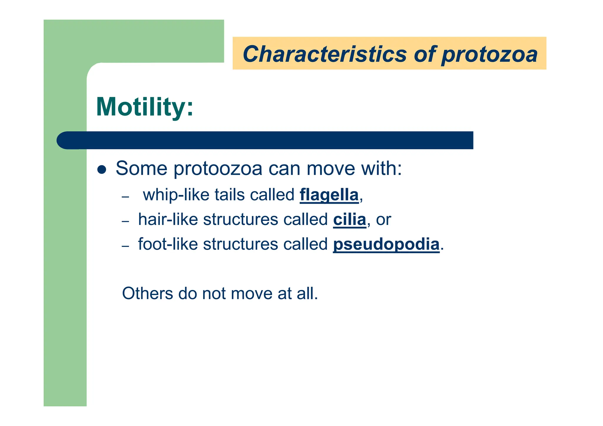 Motility:
Some protoozoa can move with:
– whip-like tails called flagella,
– hair-like structures called cilia, or
– foot-like structures called pseudopodia.
Others do not move at all.
Characteristics of protozoa
 