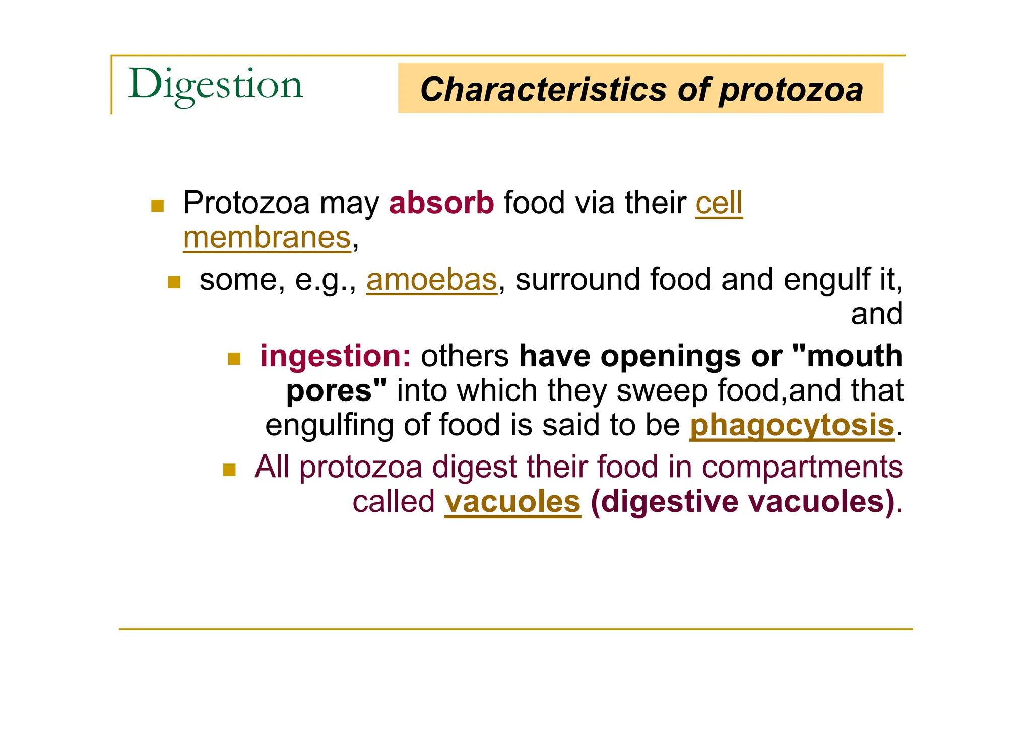 Digestion
Protozoa may absorb food via their cell
membranes,
some, e.g., amoebas, surround food and engulf it,
and
ingestion: others have openings or "mouth
pores" into which they sweep food,and that
engulfing of food is said to be phagocytosis.
All protozoa digest their food in compartments
called vacuoles (digestive vacuoles).
Characteristics of protozoa
 