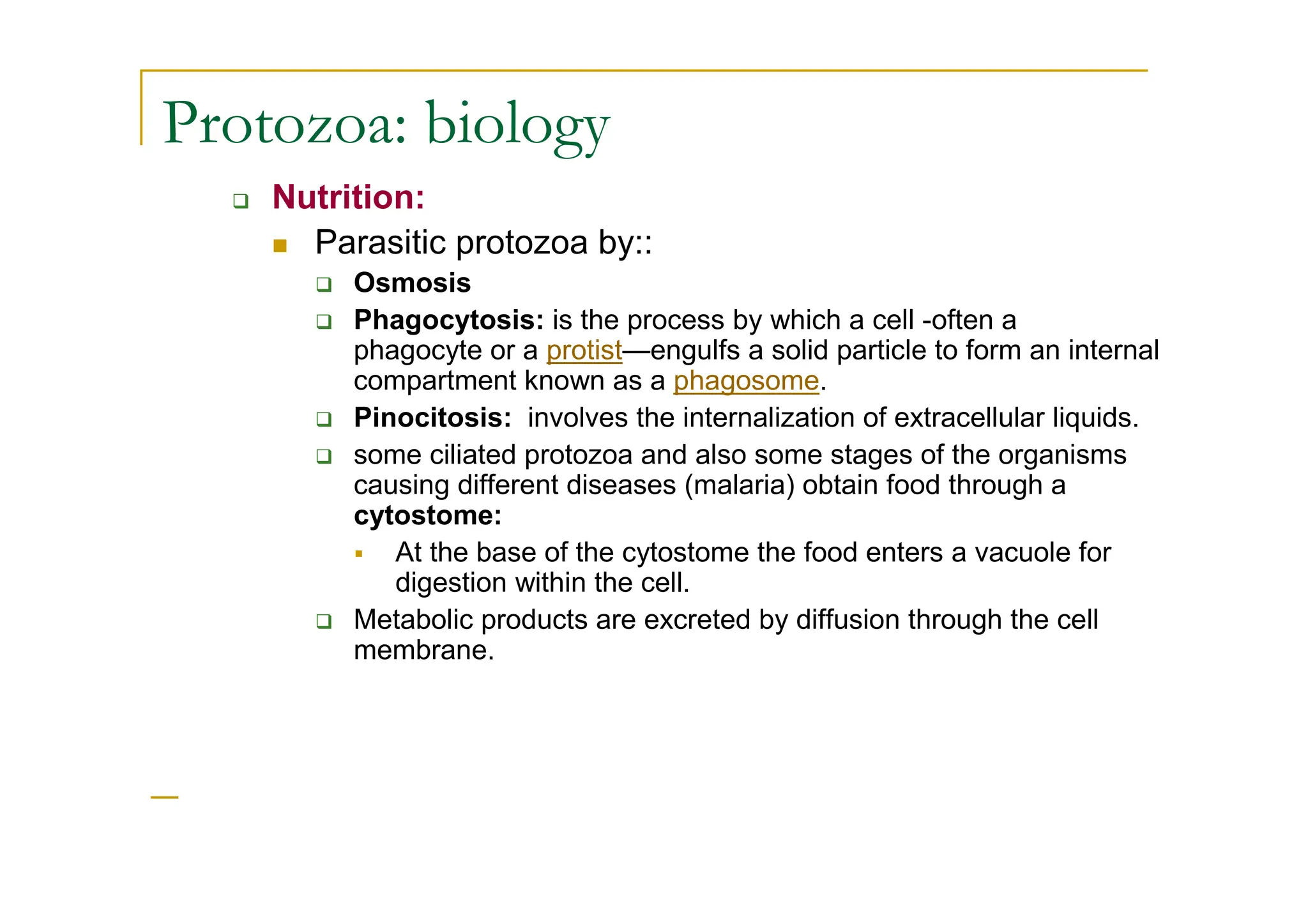 Protozoa: biology
Nutrition:
Parasitic protozoa by::
Osmosis
Phagocytosis: is the process by which a cell -often a
phagocyte or a protist—engulfs a solid particle to form an internal
compartment known as a phagosome.
Pinocitosis: involves the internalization of extracellular liquids.
some ciliated protozoa and also some stages of the organisms
causing different diseases (malaria) obtain food through a
cytostome:
At the base of the cytostome the food enters a vacuole for
digestion within the cell.
Metabolic products are excreted by diffusion through the cell
membrane.
 