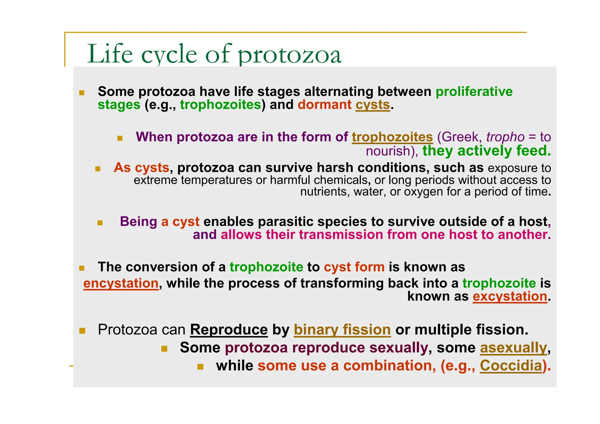 Life cycle of protozoa
Some protozoa have life stages alternating between proliferative
stages (e.g., trophozoites) and dormant cysts.
When protozoa are in the form of trophozoites (Greek, tropho = to
nourish), they actively feed.
As cysts, protozoa can survive harsh conditions, such as exposure to
extreme temperatures or harmful chemicals, or long periods without access to
nutrients, water, or oxygen for a period of time.
Being a cyst enables parasitic species to survive outside of a host,
and allows their transmission from one host to another.
The conversion of a trophozoite to cyst form is known as
encystation, while the process of transforming back into a trophozoite is
known as excystation.
Protozoa can Reproduce by binary fission or multiple fission.
Some protozoa reproduce sexually, some asexually,
while some use a combination, (e.g., Coccidia).
 