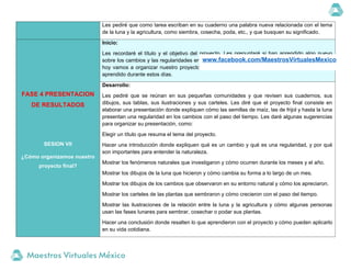 Les pediré que como tarea escriban en su cuaderno una palabra nueva relacionada con el tema
de la luna y la agricultura, como siembra, cosecha, poda, etc., y que busquen su significado.
FASE 4 PRESENTACION
DE RESULTADOS
SESION VII
¿Cómo organizamos nuestro
proyecto final?
Inicio:
Les recordaré el título y el objetivo del proyecto. Les preguntaré si han aprendido algo nuevo
sobre los cambios y las regularidades en la naturaleza. Escucharé sus respuestas y les diré que
hoy vamos a organizar nuestro proyecto final, donde mostraremos todo lo que hemos hecho y
aprendido durante estos días.
Desarrollo:
Les pediré que se reúnan en sus pequeñas comunidades y que revisen sus cuadernos, sus
dibujos, sus tablas, sus ilustraciones y sus carteles. Les diré que el proyecto final consiste en
elaborar una presentación donde expliquen cómo las semillas de maíz, las de frijol y hasta la luna
presentan una regularidad en los cambios con el paso del tiempo. Les daré algunas sugerencias
para organizar su presentación, como:
Elegir un título que resuma el tema del proyecto.
Hacer una introducción donde expliquen qué es un cambio y qué es una regularidad, y por qué
son importantes para entender la naturaleza.
Mostrar los fenómenos naturales que investigaron y cómo ocurren durante los meses y el año.
Mostrar los dibujos de la luna que hicieron y cómo cambia su forma a lo largo de un mes.
Mostrar los dibujos de los cambios que observaron en su entorno natural y cómo los apreciaron.
Mostrar los carteles de las plantas que sembraron y cómo crecieron con el paso del tiempo.
Mostrar las ilustraciones de la relación entre la luna y la agricultura y cómo algunas personas
usan las fases lunares para sembrar, cosechar o podar sus plantas.
Hacer una conclusión donde resalten lo que aprendieron con el proyecto y cómo pueden aplicarlo
en su vida cotidiana.
www.facebook.com/MaestrosVirtualesMexico
 