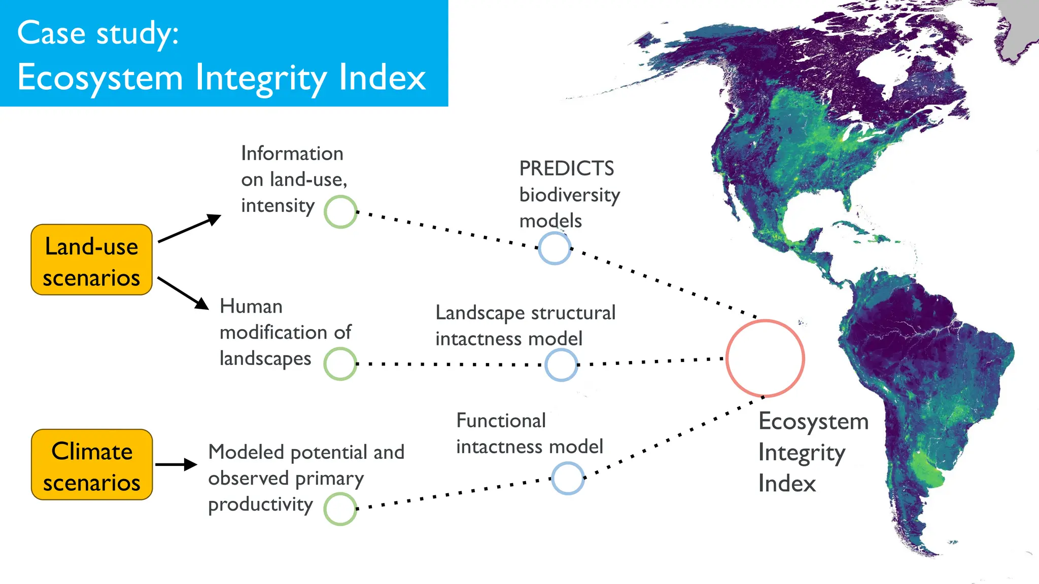 PREDICTS
biodiversity
models
Information
on land-use,
intensity
Ecosystem
Integrity
Index
Case study:
Ecosystem Integrity Index
Human
modification of
landscapes
Landscape structural
intactness model
Functional
intactness model
Modeled potential and
observed primary
productivity
Land-use
scenarios
Climate
scenarios
 