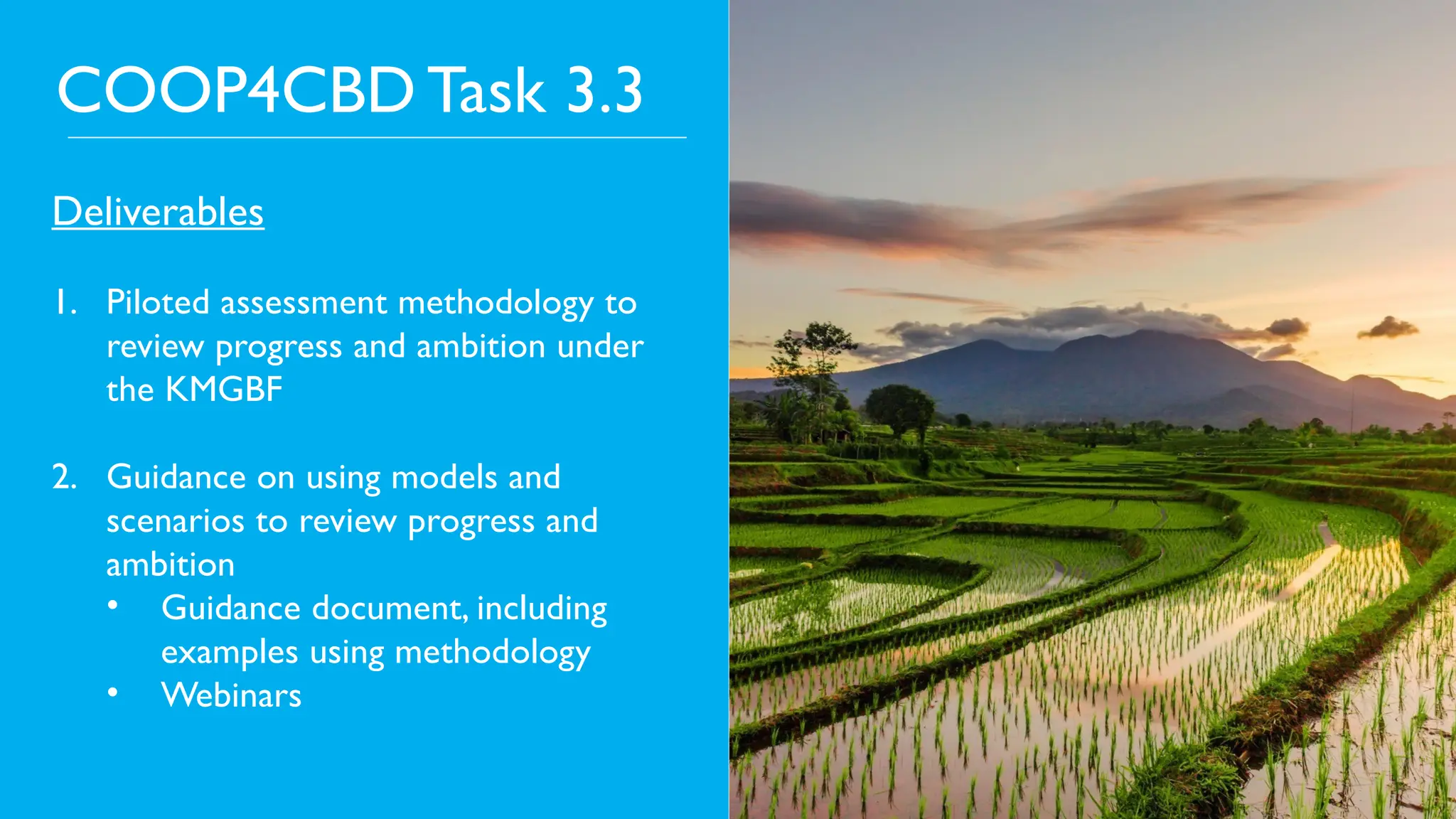 COOP4CBD Task 3.3
Deliverables
1. Piloted assessment methodology to
review progress and ambition under
the KMGBF
2. Guidance on using models and
scenarios to review progress and
ambition
• Guidance document, including
examples using methodology
• Webinars
 