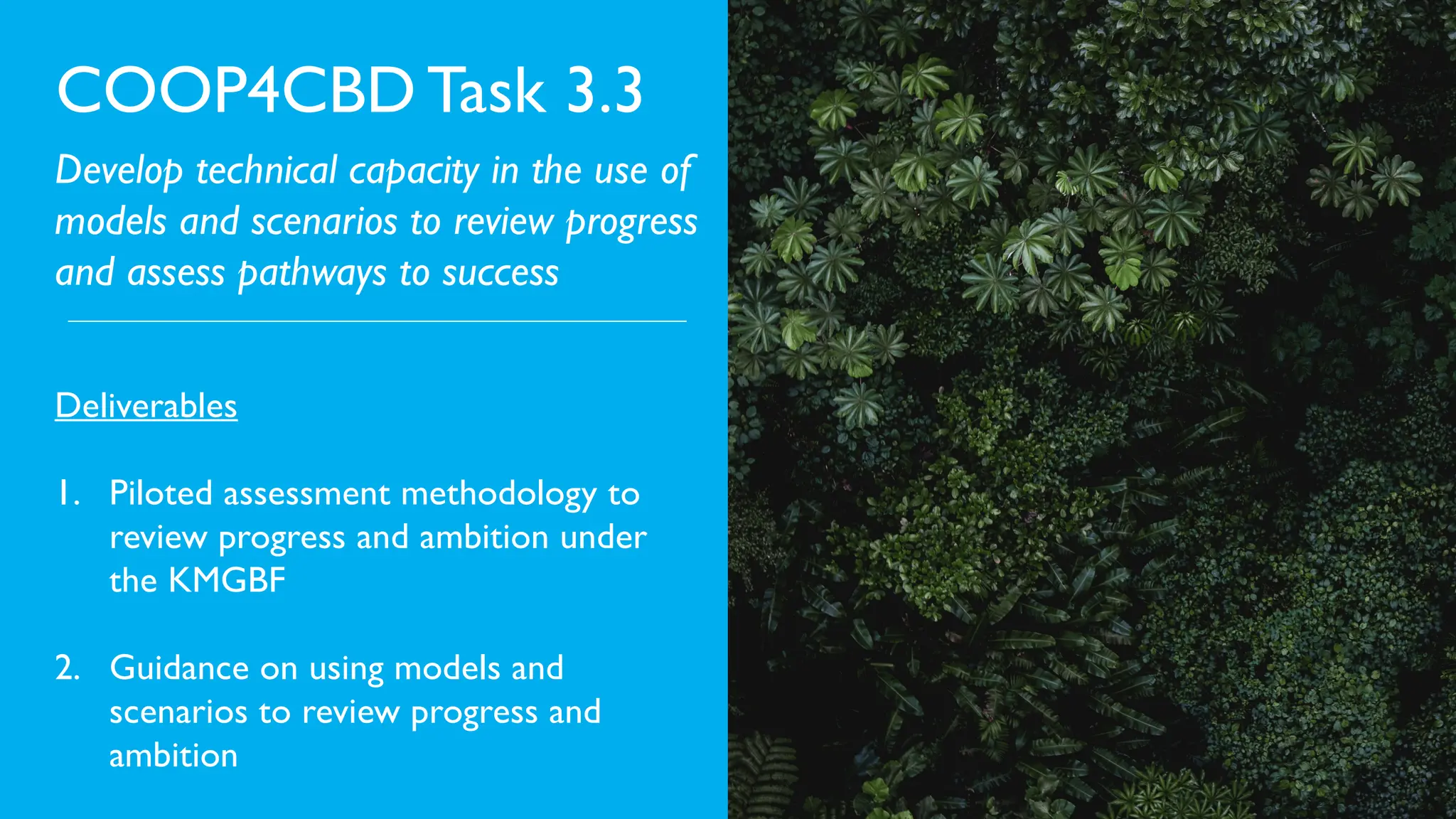 COOP4CBD Task 3.3
Develop technical capacity in the use of
models and scenarios to review progress
and assess pathways to success
Deliverables
1. Piloted assessment methodology to
review progress and ambition under
the KMGBF
2. Guidance on using models and
scenarios to review progress and
ambition
 