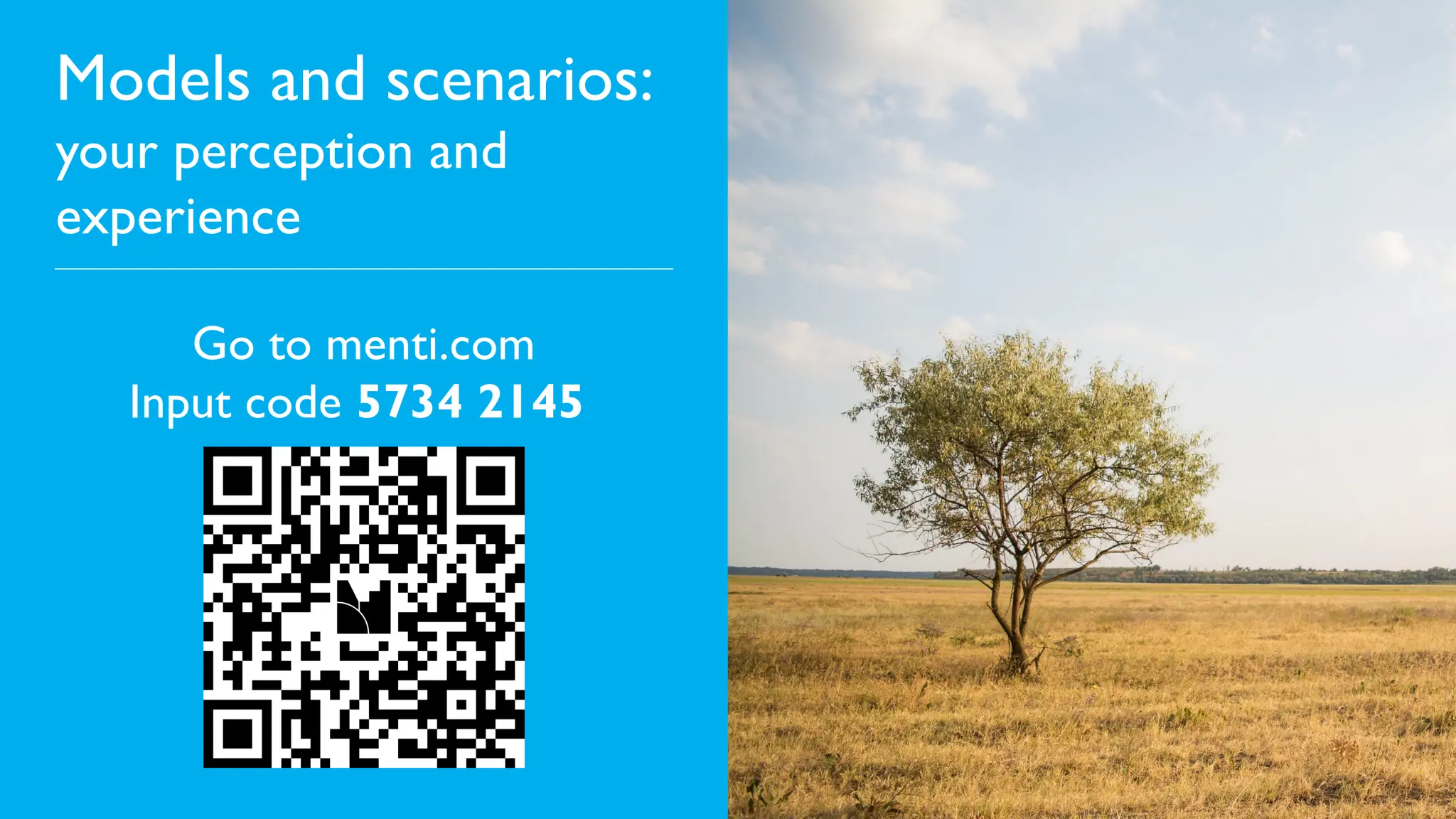 Models and scenarios:
your perception and
experience
Go to menti.com
Input code 5734 2145
 