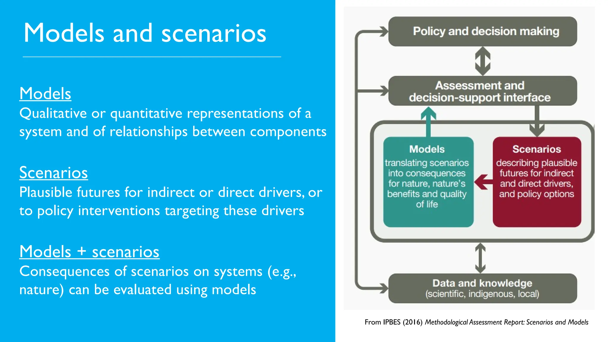 Models and scenarios
From IPBES (2016) Methodological Assessment Report: Scenarios and Models
Models
Qualitative or quantitative representations of a
system and of relationships between components
Scenarios
Plausible futures for indirect or direct drivers, or
to policy interventions targeting these drivers
Models + scenarios
Consequences of scenarios on systems (e.g.,
nature) can be evaluated using models
 