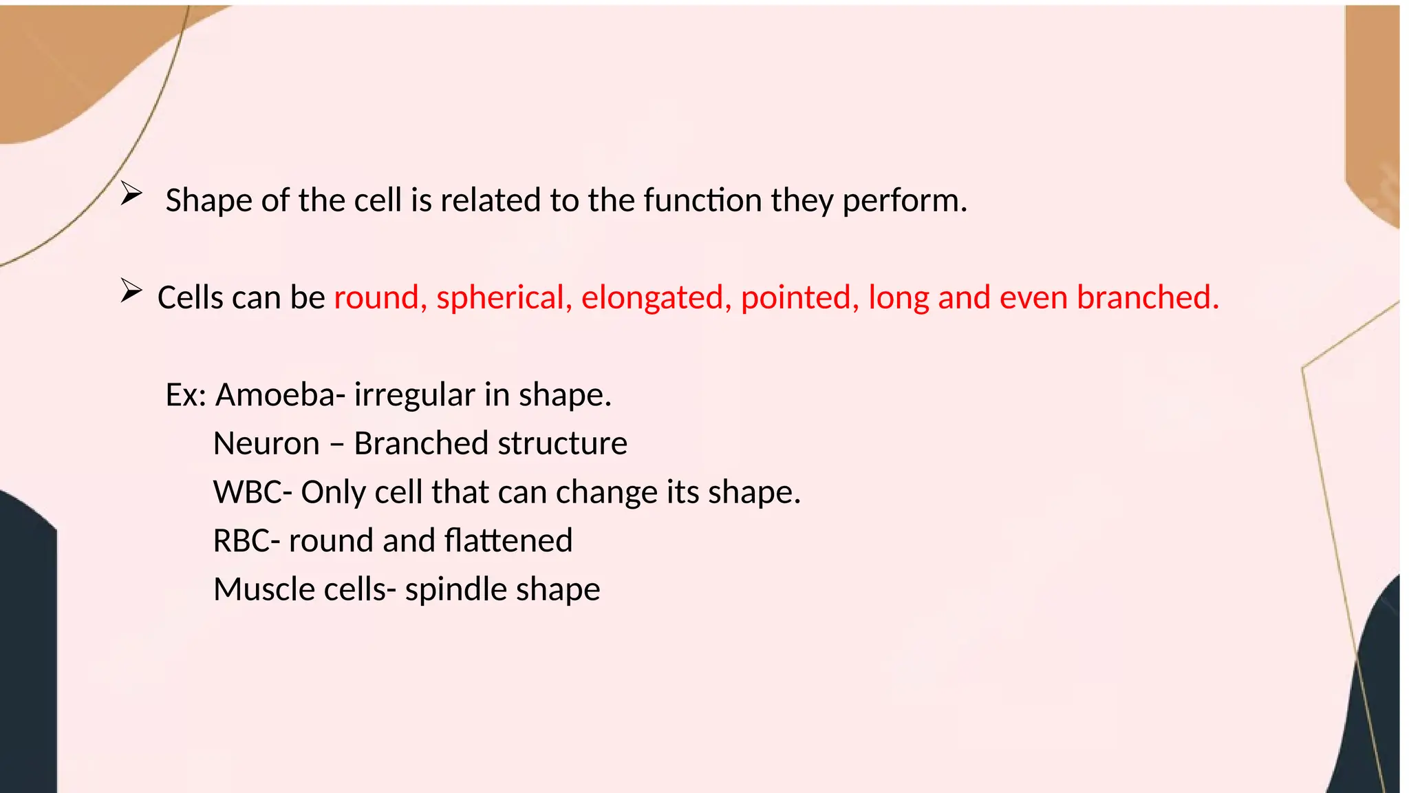2.01. CELL AND CELL ORGANELLES.pptx FOR CLASSES 8TH AND 9TH | PPTX