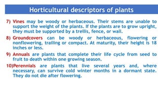 2.0. Classification of ornamental plants JN 29.09.25.pptx