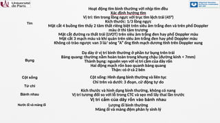 2. Prof. Laurent Salomon NIPT và siêu âm quí 1 Làm sao để tối ưu hoá cả ...