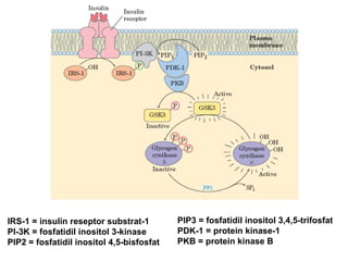 Pip2 Inositol Metabolisme Karbohidrat dan Regulasi.ppt