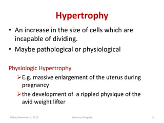Cell Fail 2. Cellular injury, this is defined as the reversible or irreversible ...