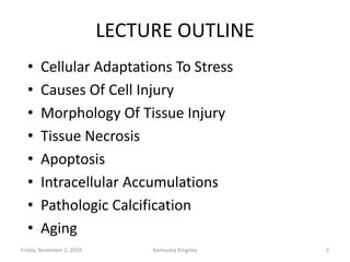 Cell Fail 2. Cellular injury, this is defined as the reversible or irreversible ...