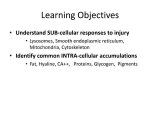 Cell Fail 2. Cellular injury, this is defined as the reversible or irreversible ...