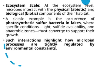2. History and Scope of Microbial Ecology Thirunahari Ugandhar.pptx