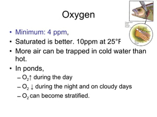 Oxygen Minimum: 4 ppm ,  Saturated is better. 10ppm at 25 °F More air can be trapped in cold water than hot. In ponds,  O 2 ↑ during the day O 2  ↓ during the night and on cloudy days O 2  can become stratified. 