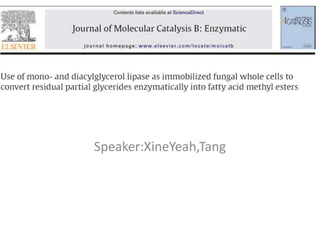 Speaker:XineYeah,Tang 
