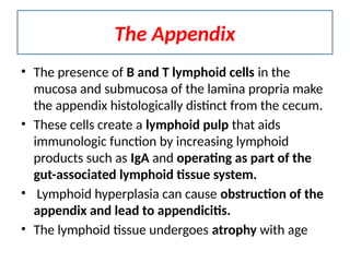 2. Acute appendicitis is the inflammation of vermiform appendix | PPTX
