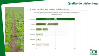 18
Qualité du désherbage
10 % des parcelles avec quelles problématiques
 
