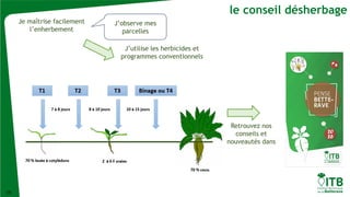 19
le conseil désherbage
Avril, mai
Début de végétation
compliqué
Juin, juillet
De l’asphyxie encore
et encore
Je maîtrise facilement
l’enherbement
J’utilise les herbicides et
programmes conventionnels
Retrouvez nos
conseils et
nouveautés dans
J’observe mes
parcelles
 